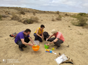 Magmatismo félsico y actividad hidrotermal en el Complejo Basal de Boavista (Cabo Verde): deducciones a partir de la geocronología de apatito, titanita y circón.